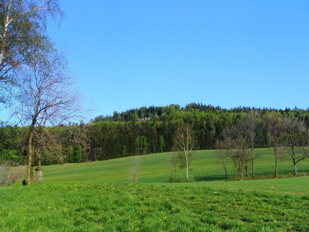 Jablonné nad Orlicí Roubenka Elisabeth酒店 外观 照片